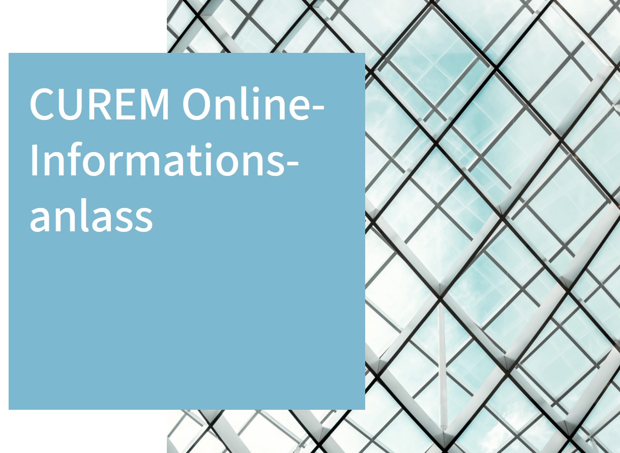 Online_Infoanlass
